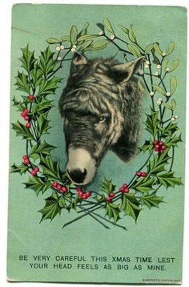 Donkey Christmas Card