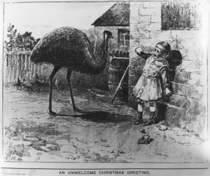 Emu Christmas Card